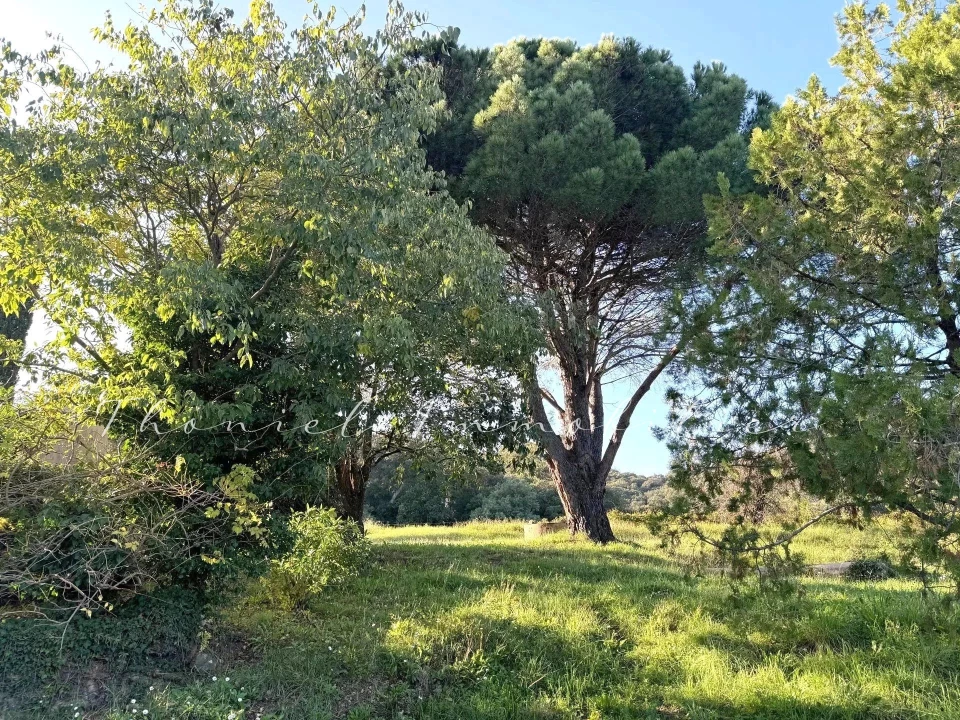 Agence immobilière Grimaud | Thoniel Immobilier | vente Maison Cogolin