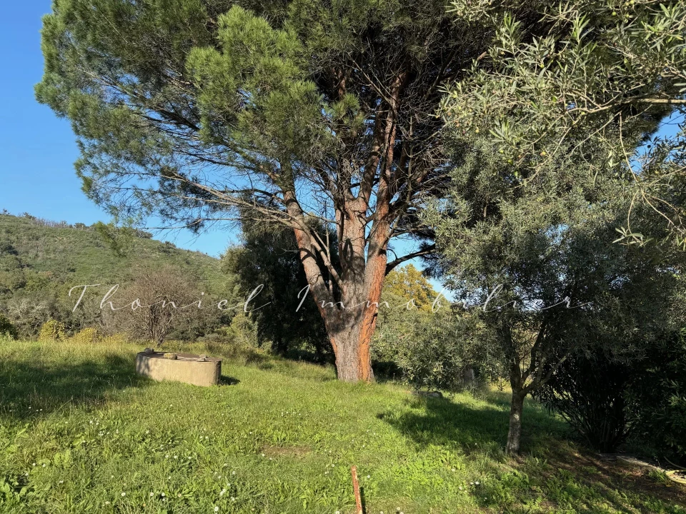 Agence immobilière Grimaud | Thoniel Immobilier | vente Maison Cogolin