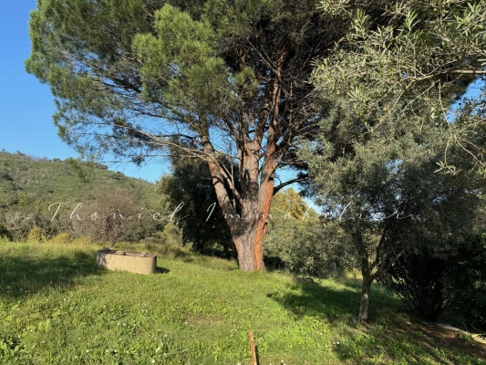 à vendre maison, villa Cogolin - A vendre : Maison de campagne pleine de charme à Cogolin