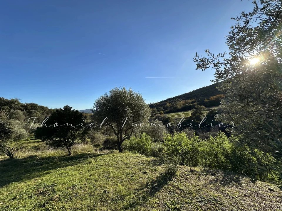 Agence immobilière Grimaud | Thoniel Immobilier | vente Maison Grimaud