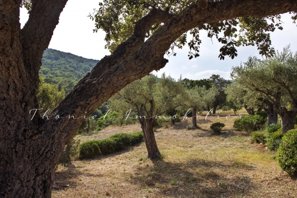 à vendre maison, villa Grimaud - Bastide de charme à vendre dans la campagne de Grimaud