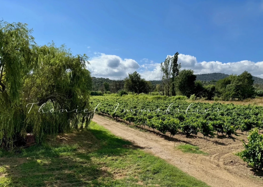 Agence immobilière Grimaud | Thoniel Immobilier | vente Maison Cogolin