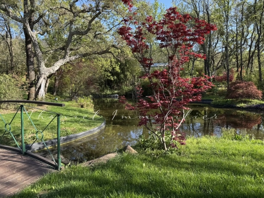 à vendre maison, villa Grimaud - Exceptionnelle propriété de caractère à vendre