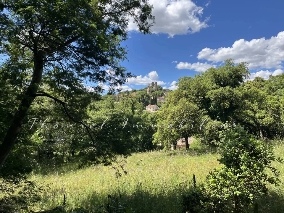Agence immobilière Grimaud | Thoniel Immobilier | vente Terrain Grimaud