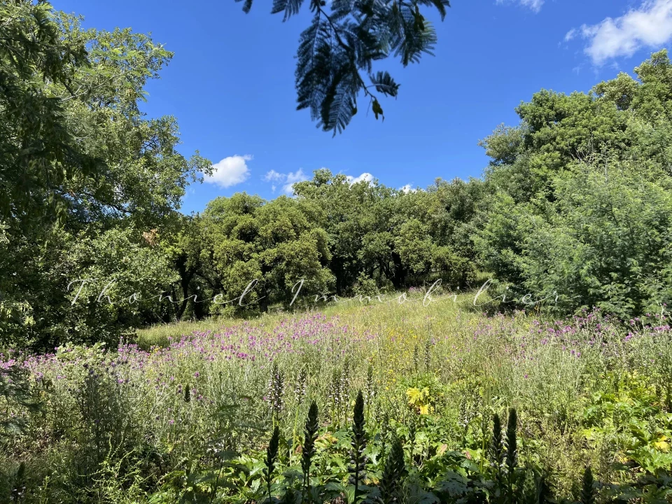 Agence immobilière Grimaud | Thoniel Immobilier | vente Terrain Grimaud