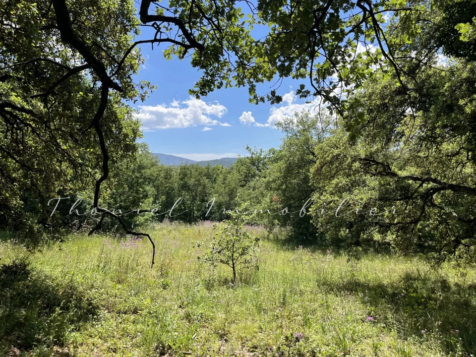 Agence immobilière Grimaud | Thoniel Immobilier | vente Terrain Grimaud