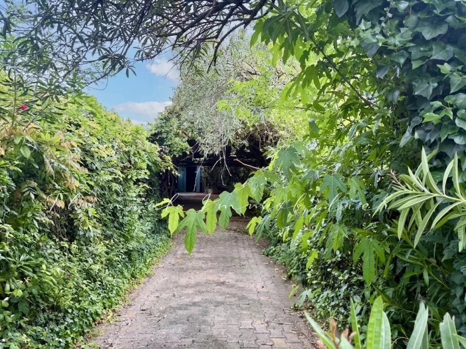 Agence immobilière Grimaud | Thoniel Immobilier | vente Terrain Cogolin